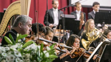 New Year Fun with the Brno Philharmonic