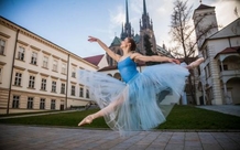 Summer Evenings at Bishop's Court with NdB Ballet
