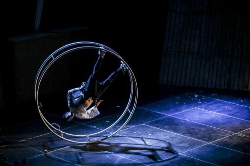 Circus is Coming to Brno: International Festival of New Circus, Theatre and Music